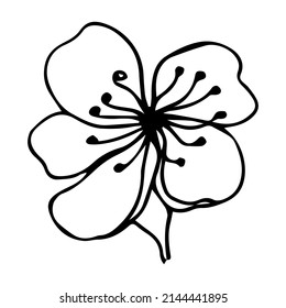 Sakura flower doodle icon. Back line isolated on white. One line contour floral drawing.Vector illustration
