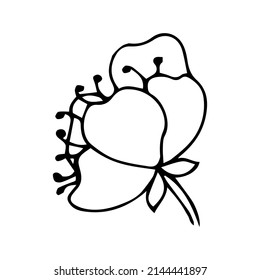 Sakura flower doodle icon. Back line isolated on white. One line contour floral drawing.Vector illustration