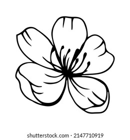 Sakura flower doodle icon. Back line isolated on white. One line contour floral drawing.Vector illustration