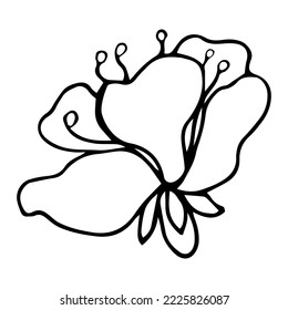 Sakura Blumendoodle Symbol. Rückenlinie einzeln auf Weiß. Eine Kontur-Blumenzeichnung in einer Linie, Vektorgrafik