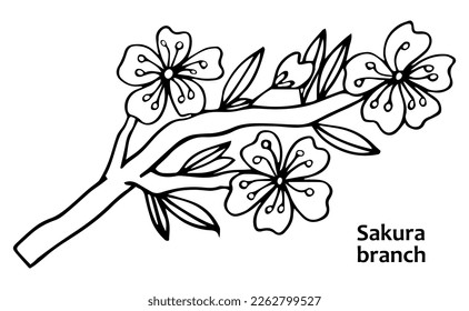 Sakura flower doodle icon. Back line isolated on white. One line contour floral drawing.Vector illustration