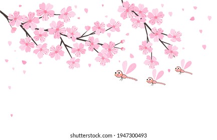 Sakura flower and dragonfly cartoons isolated on white background vector illustration.