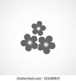 Sakura Flower Flat Icon In White Background
