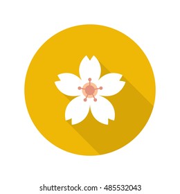 sakura flower icon. vector illustration
