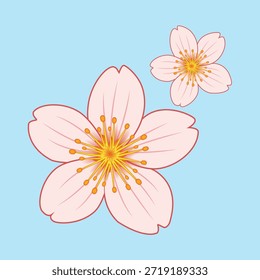 Ilustración de flor de Sakura Vector EPS