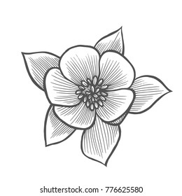 Sakura flower illustration line pattern. Vector artwork. Coloring book page for adult. Love bohemia concept for wedding invitation card, ticket, branding, boutique logo, label. Gift for girl and women