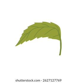 Sakura flower leaf. Cherry spring blossom, blooming flowers and leaves, japanese blooming cherry elements flat vector illustration icon. Beautiful blooming sakura