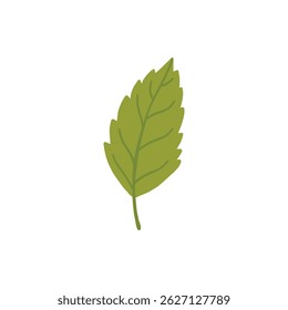 Sakura flower leaf. Cherry spring blossom, blooming flowers and leaves, japanese blooming cherry elements flat vector illustration icon. Beautiful blooming sakura