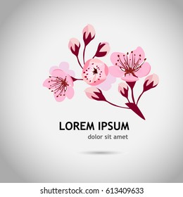 Sakura flower object. Vector