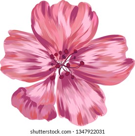 Sakura flower on white background. Individual element. Vector image. For design, fashion, decor, printing, illustration.