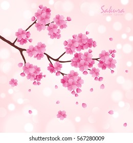 Sakura flower pattern element. Romantic pink flower. Spring flowering. Vector illustration.