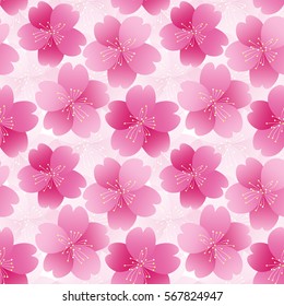 Sakura flower seamless pattern. Spring flowering. Vector illustration.