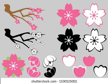 sakura Flower set, two color with branch, sprout, and sakura flower