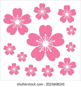 sakura flower, simple flat design.