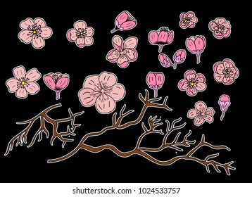 The Sakura flower Sticker and isolate.Cherry blossom is Japanese flower