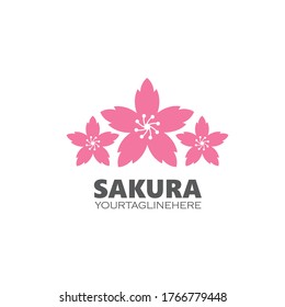sakura flower vector illustration design template