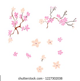 Sakura flower vector isolate on white background.