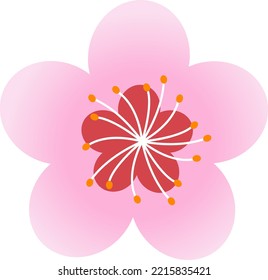 vector floral sakura. sakura aislado en un fondo transparente. Ilustración de flores rosadas en estilo plano. Ilustración vectorial.