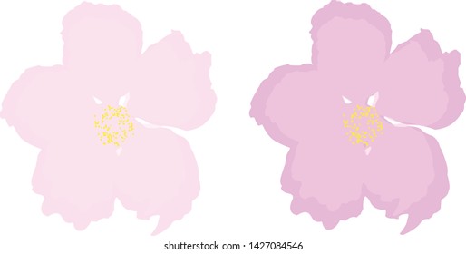 Sakura flower vector picture for different usage