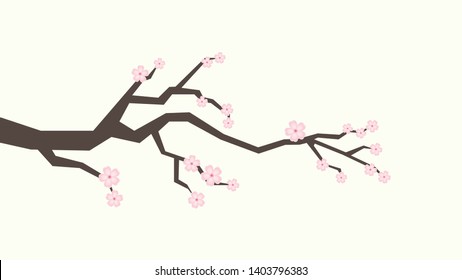 sakura flower. wallpaper. background. free space for text. copy space. blank.