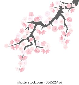 Sakura flowering branch, vector illustration.