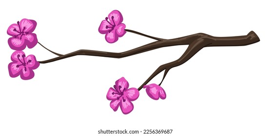 Flor de sakura, flor de cerezo con flores. Rama aislada con pétalos tiernos, temporada de hanami en Japón. Tiempo de primavera y florecimiento estacional y resurgimiento de la naturaleza. Vector de estilo plano