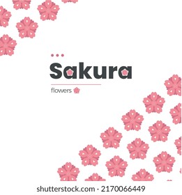 Sakura flowers background for art complement.