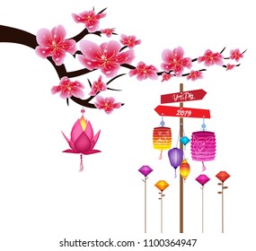 Sakura flowers background. Cherry blossom and lantern isolated white background. Chinese new year