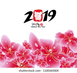 Sakura flowers background. Cherry blossom and lantern isolated white background. Chinese new year (hieroglyph Pig)