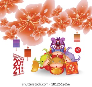 Sakura flowers background. Cherry blossom and lantern with oxen characters isolated white background. Chinese new year 2021 Ox (Chinese translation Happy Chinese New Year, Year of Ox)