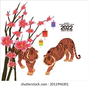 Sakura flowers background. Cherry blossom and lantern isolated white background. Chinese new year 2022 tiger. Happy Chinese New Year, Year of the Tiger