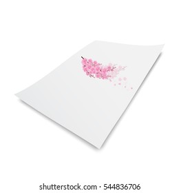 Sakura flowers background. cherry blossom isolated paper white background