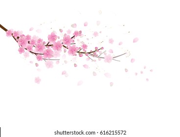 Unduh 5600 Koleksi Background Bunga Sakura Pink HD Paling Keren