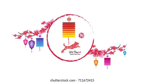 Sakura flowers background. Cherry blossom and lantern isolated white background. Chinese new year 2018 (hieroglyph: Dog)