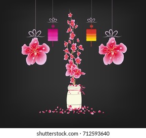 Sakura flowers background. Cherry blossom and lantern isolated black background. Chinese new year