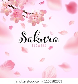 Sakura flowers background template. Vector set of blooming floral for holiday invitations, greeting card and fashion design.
