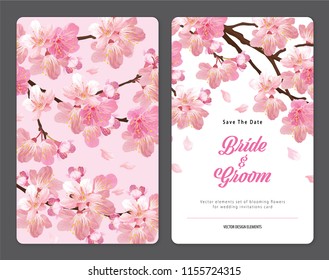 Sakura flowers background template. Vector set of blooming floral for holiday invitations, greeting card and fashion design.