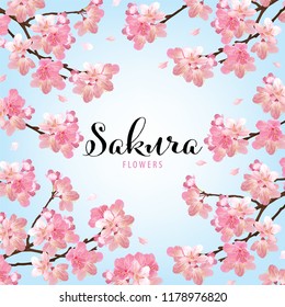 Sakura flowers background template. Vector set of blooming floral for holiday invitations, greeting card and fashion design.