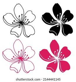 Sakura flowers blossom set, hand drawn line ink style. Cute doodle cherry plant vector illustration, black isolated on white background. Realistic floral bloom for spring japanese or chinese holiday.