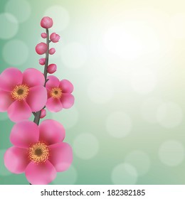 Sakura Flowers With Bokeh, With Gradient Mesh, Vector Illustration