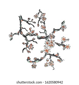 Sakura flowers branch. cherry isolated white background. vector illustration. hand drawing