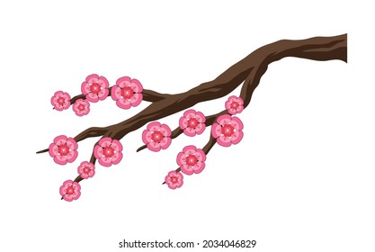 sakura flowers in branch nature icon