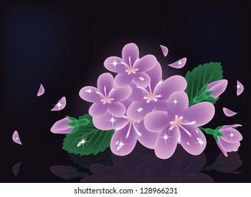 Sakura flowers card, vector illustration