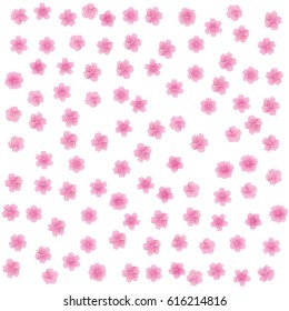 Sakura flowers , cherry blossom vector illustration
