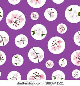 Sakura flowers and circles seamless pattern on purple