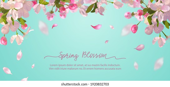 Sakura Flowers And Flying Petals On Spring Background