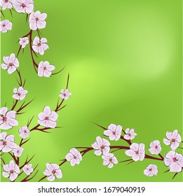 The sakura flowers, great design for any purposes. Nature seamless pattern. Japanese illustration with pink the sakura flowers on green background