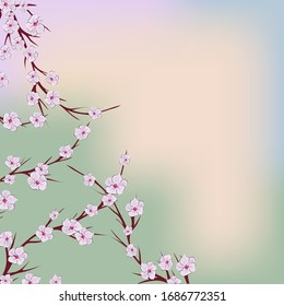 The sakura flowers, great design for any purposes. Nature seamless pattern. Japanese illustration with pink the sakura flowers on green background