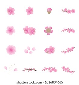 Sakura flowers icon set , cherry blossom vector illustration