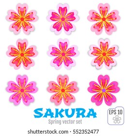 Sakura flowers icon set , cherry blossom vector illustration